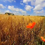 Alojamento de Acomodação e Pequeno-almoço Tenuta Valle Dell Idro Otranto Casamassella