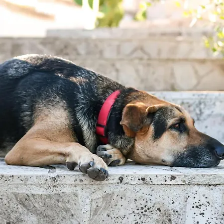 Tenuta Valle Dell Idro Otranto Casamassella