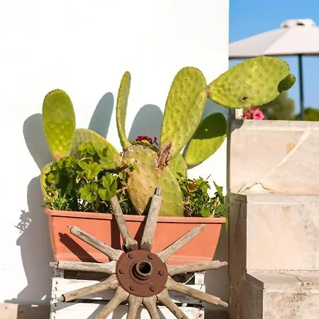 Tenuta Valle Dell Idro Otranto Con Piscina Bed & Breakfast Casamassella