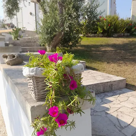 Tenuta Valle Dell Idro Otranto فندق مبيت وإفطار Casamassella