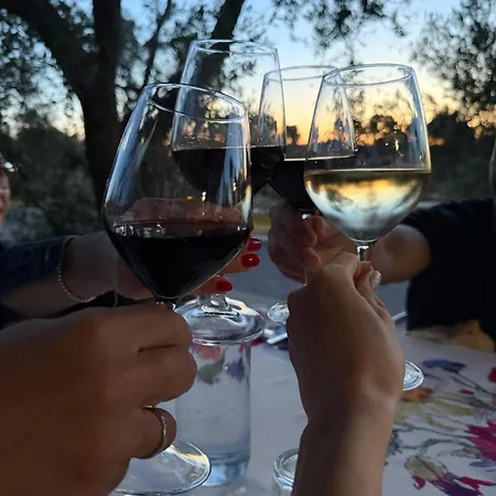 Tenuta Valle Dell Idro Otranto Casamassella