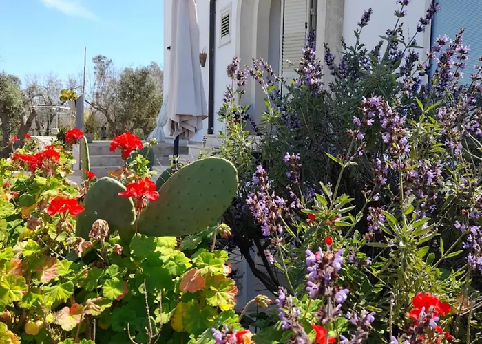 Tenuta Valle Dell Idro Otranto
