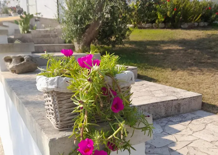 Tenuta Valle Dell Idro Otranto Panzió Casamassella